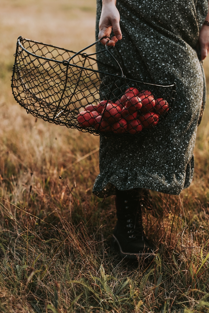 fotograf koszalin light scene sesja jesienna jablka kobieca